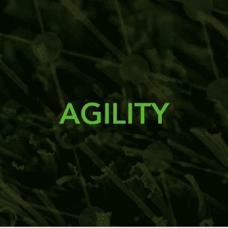 Agility