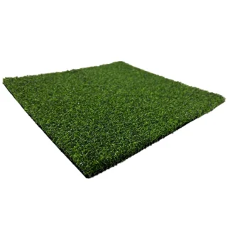TurfLogix Masters Pro Putt